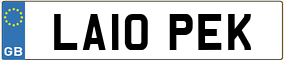 Truck License Plate